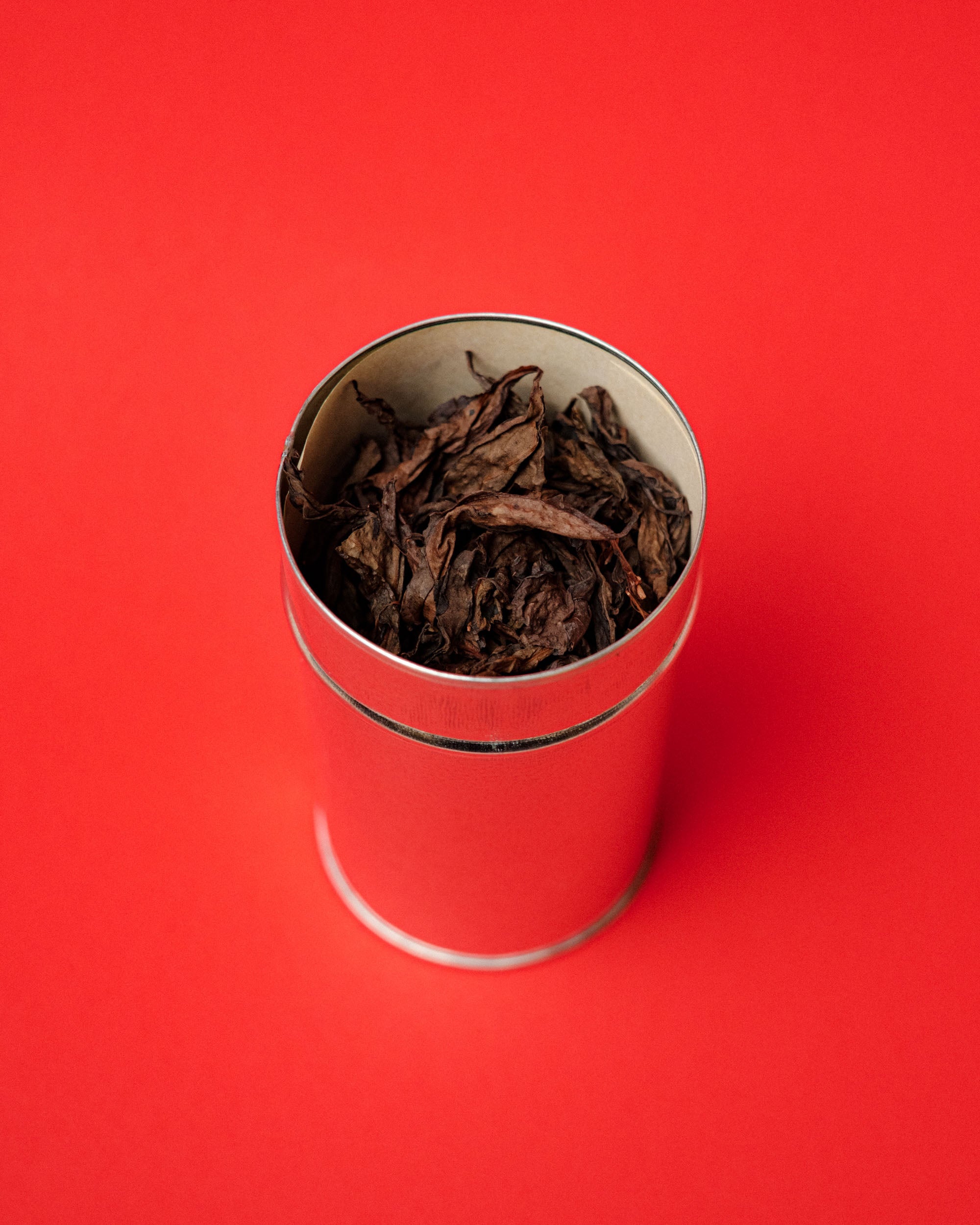 2018 Rock Is My Home