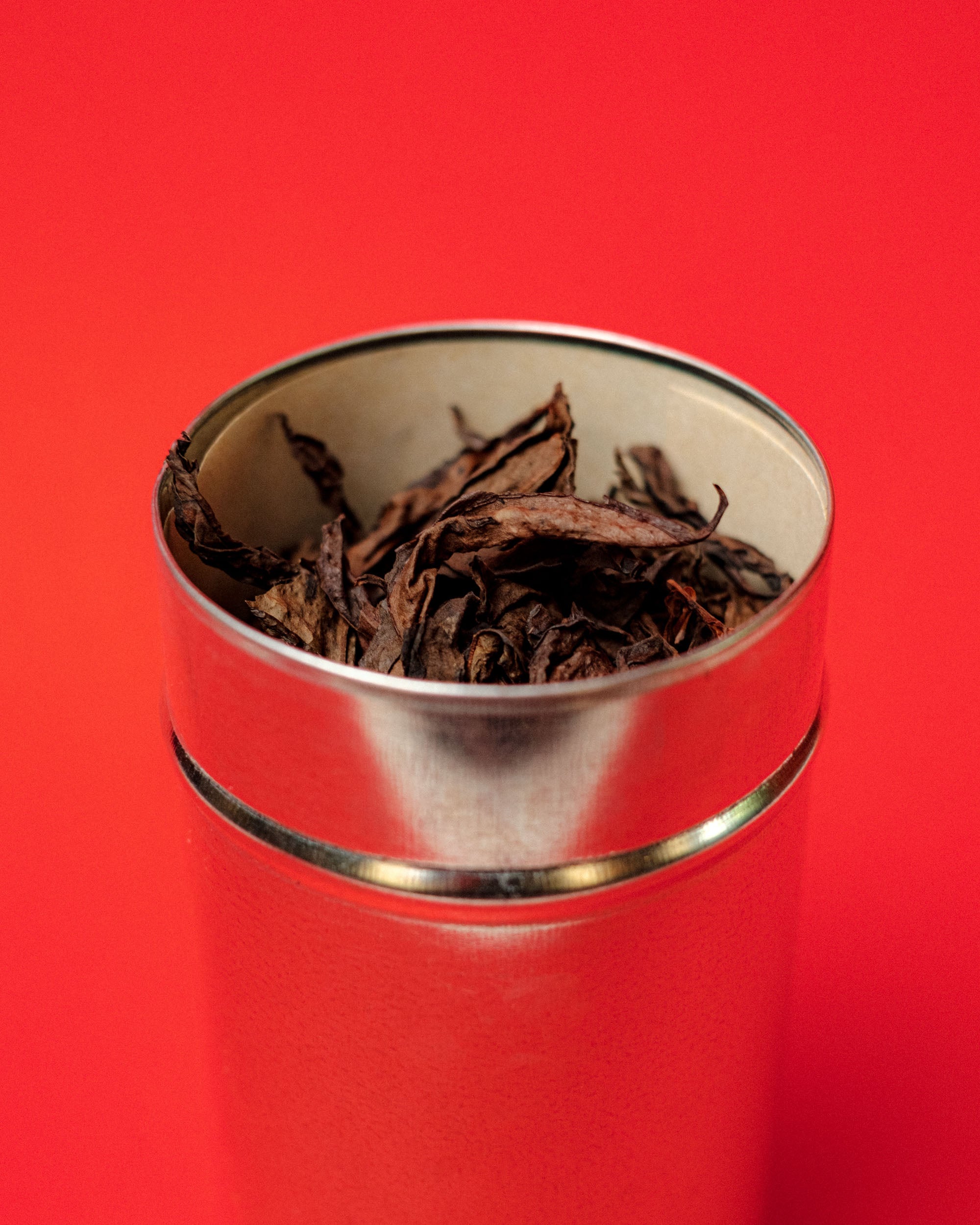 2018 Rock Is My Home