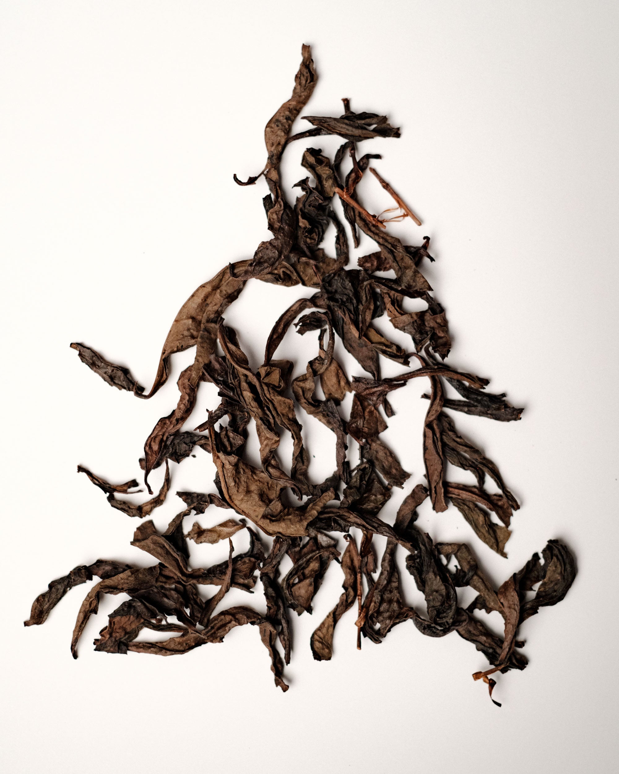 2018 Rock Is My Home