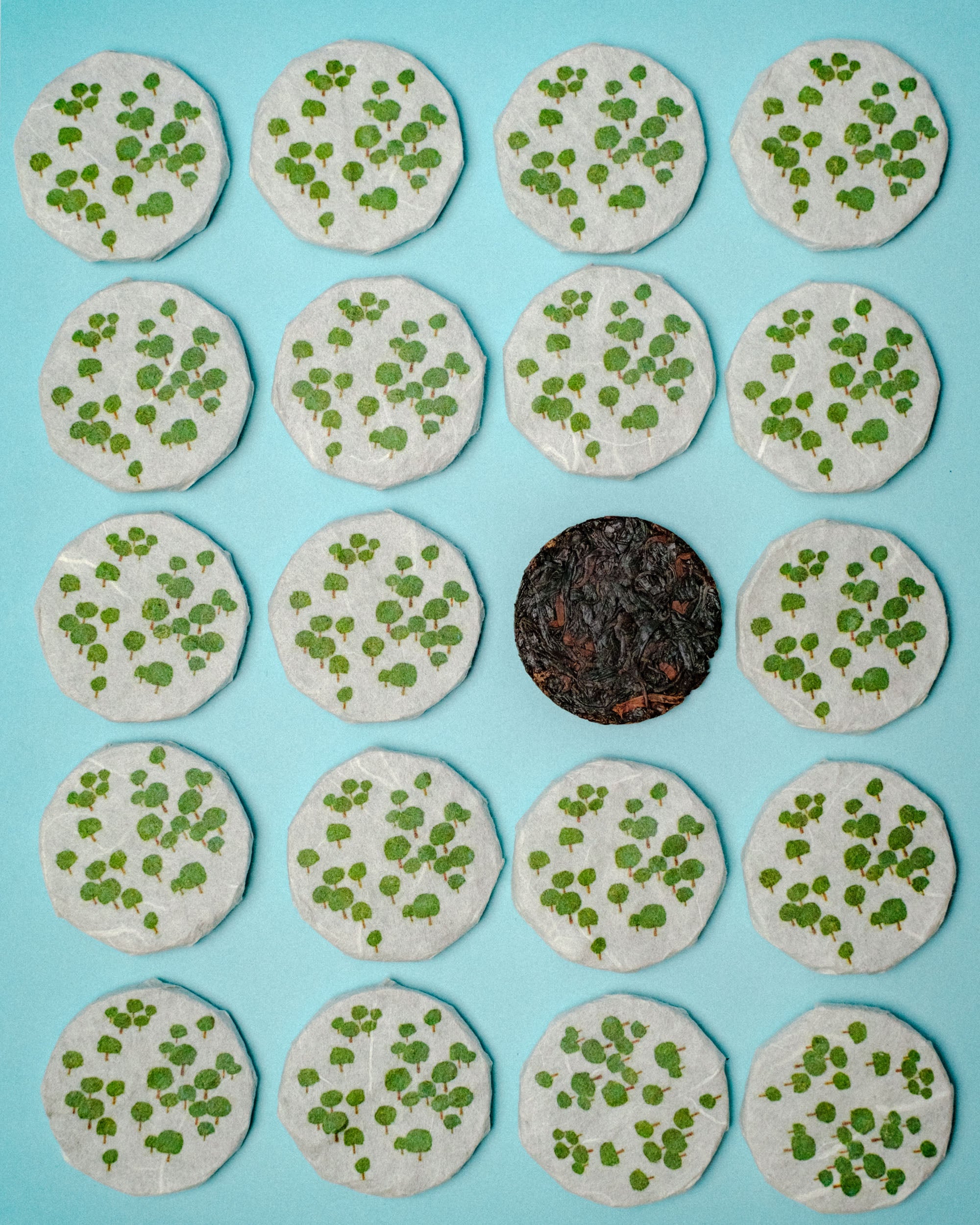 Fifteen round wrapped tea discs with design of scattered small trees are arranged in a grid on a light blue background, with one disc being unwrapped and having dark brown leaves placed in the center.